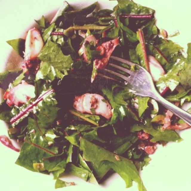 Braised Octopus Salad (with Dandelion Greens & Castelvetrano Vinaigrette) from Frankies Spuntino 457 on #foodmento http://foodmento.com/dish/3376