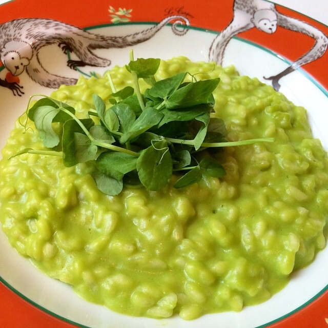 Pea Risotto at Le Cirque Cafe on #foodmento http://foodmento.com/place/4117
