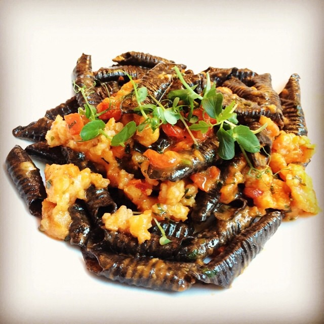 Garganelli With Shrimp & Calamari Ragu from Circo on #foodmento http://foodmento.com/dish/17247