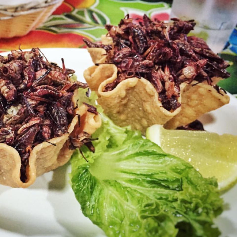 Fried Grasshoppers at Guelaguetza Restaurant on #foodmento http://foodmento.com/place/4431