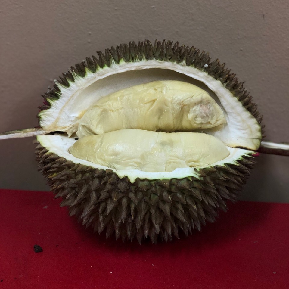 Old Tree Durian on #foodmento http://foodmento.com/dish/44197