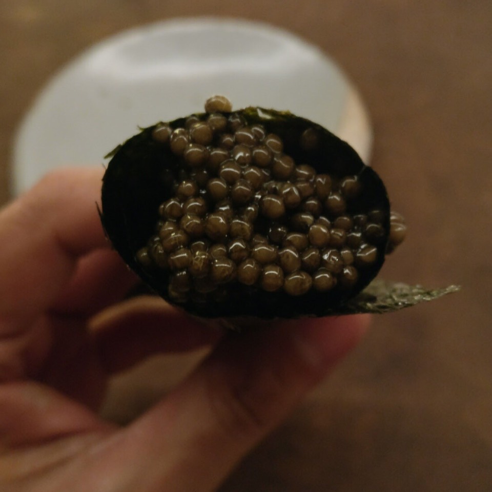Caviar Hand Roll at Uchu on #foodmento http://foodmento.com/place/11570