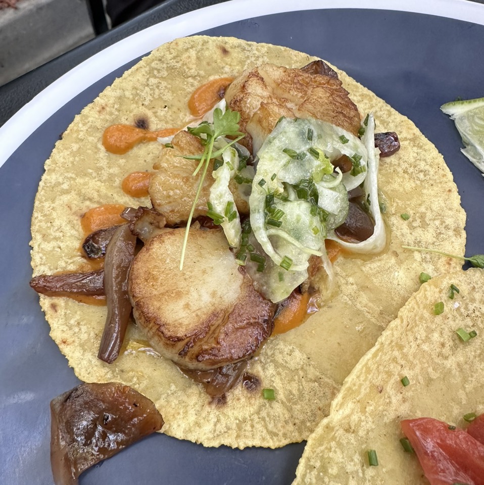 Scallop Taco $8 from Holbox on #foodmento http://foodmento.com/dish/51914