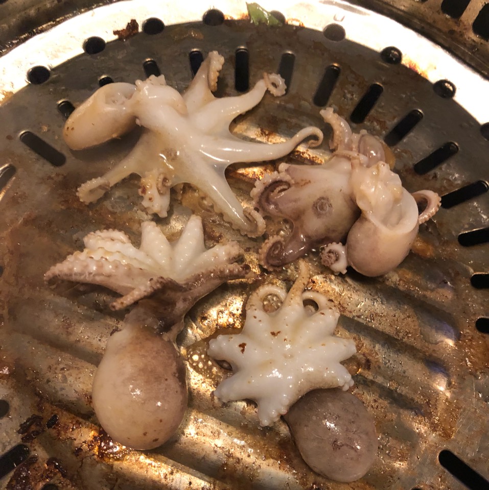 Baby Octopus at OO-KOOK Korean BBQ on #foodmento http://foodmento.com/place/12120