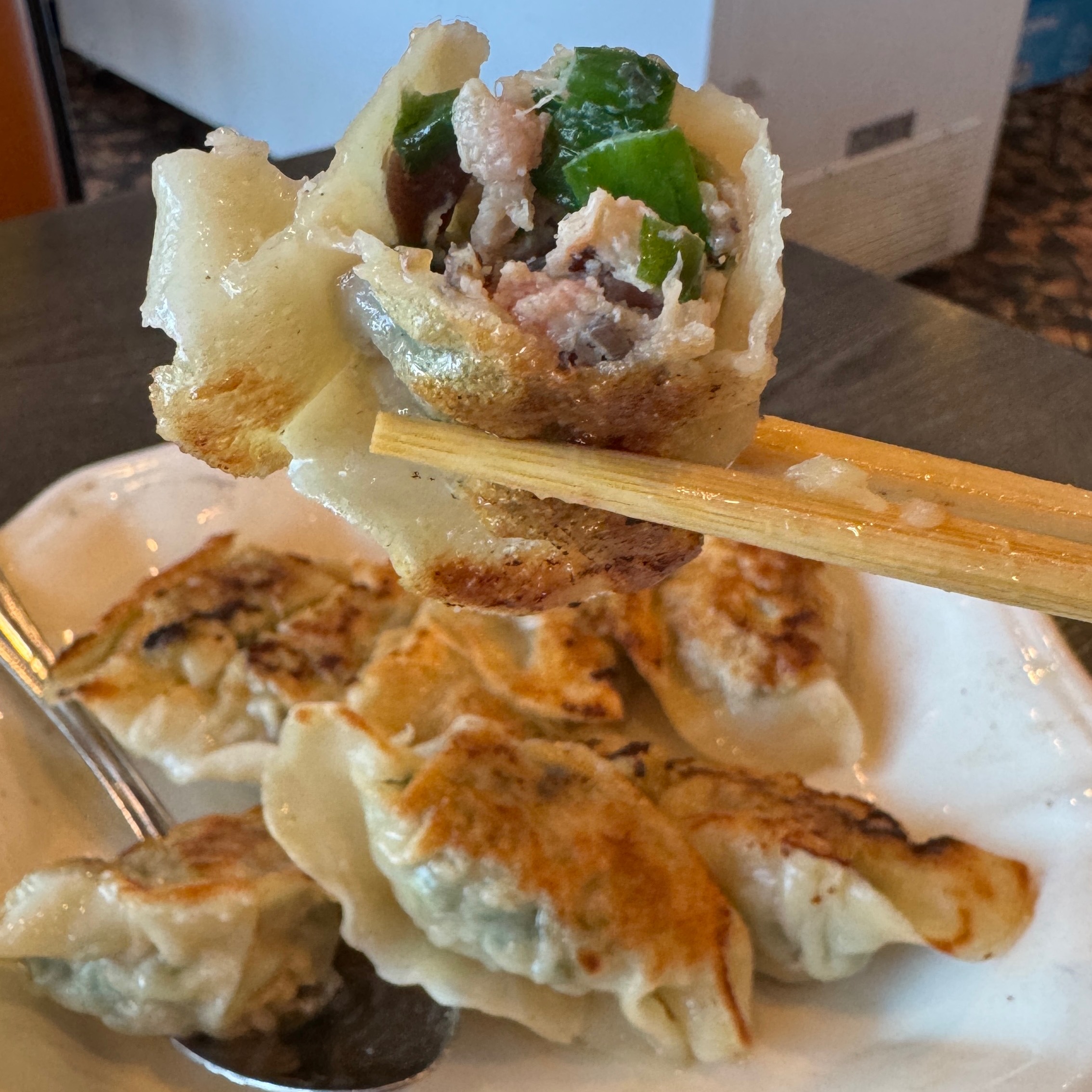Signature Dumplings (Fried) $13 at Tam's Noodle House on #foodmento http://foodmento.com/place/13268