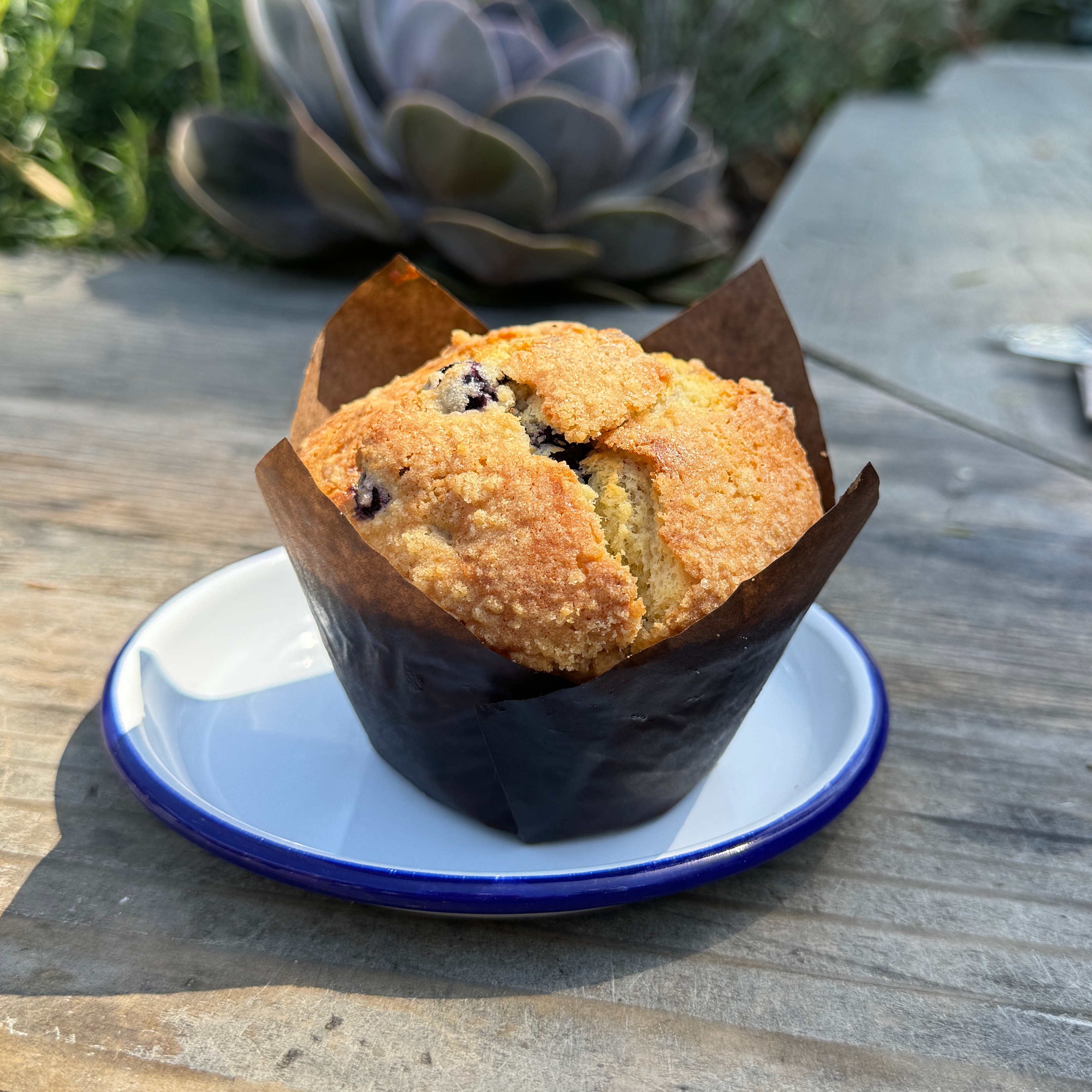 Blueberry Crumbtop Muffin $5 at All Time on #foodmento http://foodmento.com/place/13505