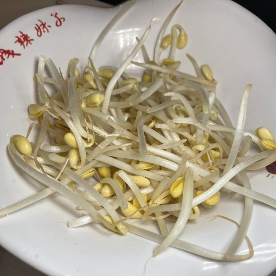 Bean Sprouts at Shancheng Lameizi Hot Pot on #foodmento http://foodmento.com/place/13664