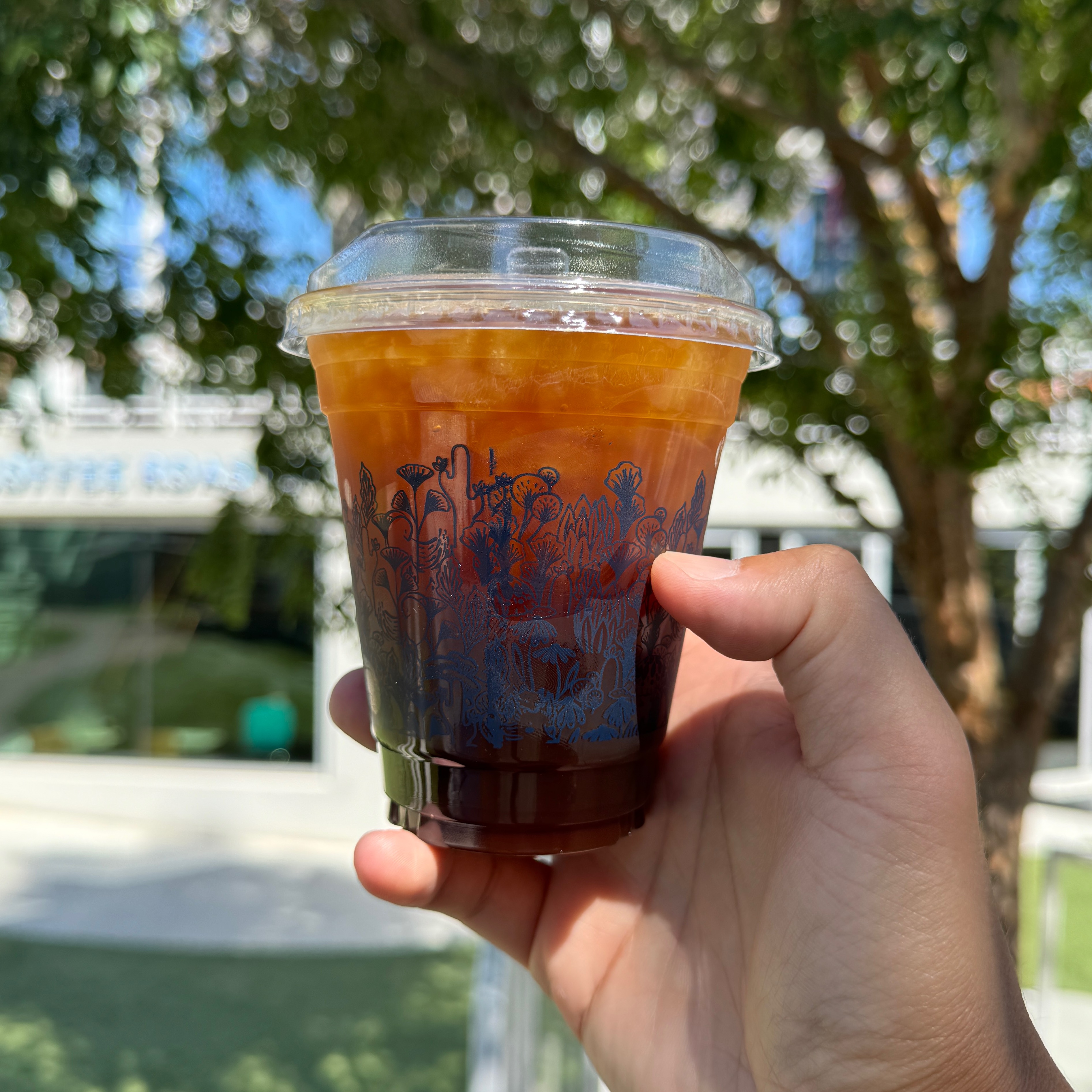 Iced Americano $4 at Mothership Coffee Roasters on #foodmento http://foodmento.com/place/14953