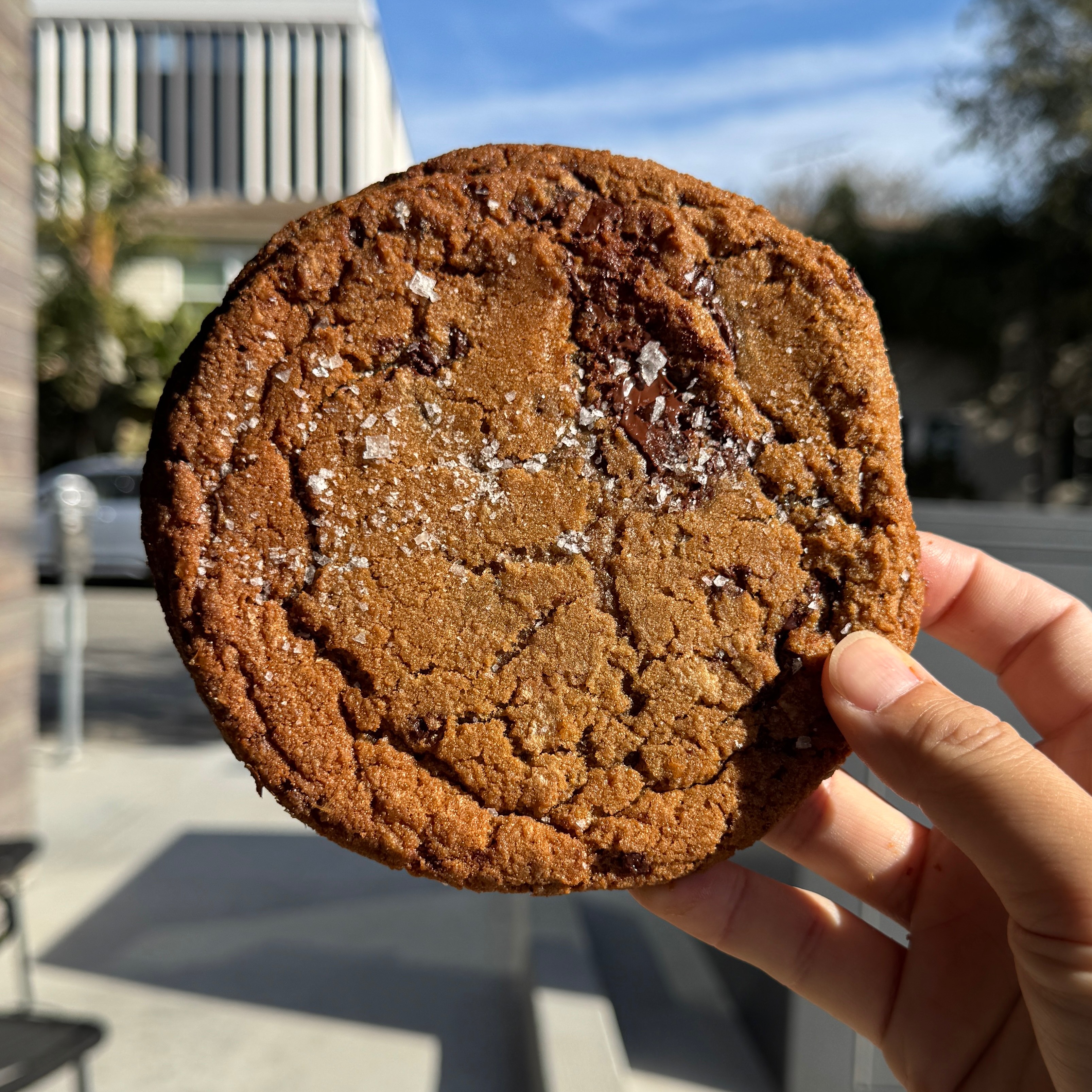 Chocolate Chip Cookie at Petitgrain Boulangerie on #foodmento http://foodmento.com/place/15303