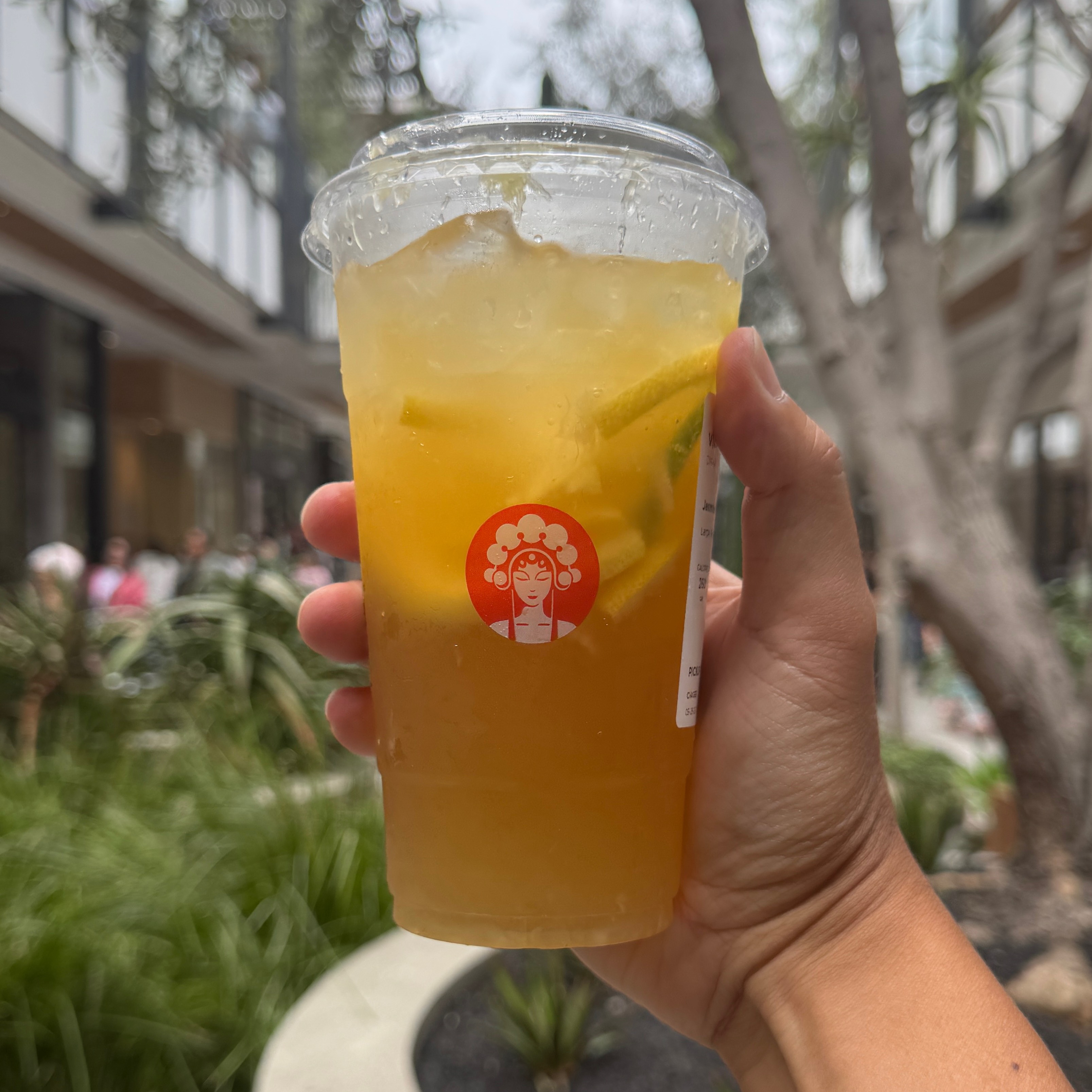 Jasmine Green Lemon Tea $6 on #foodmento http://foodmento.com/dish/60509