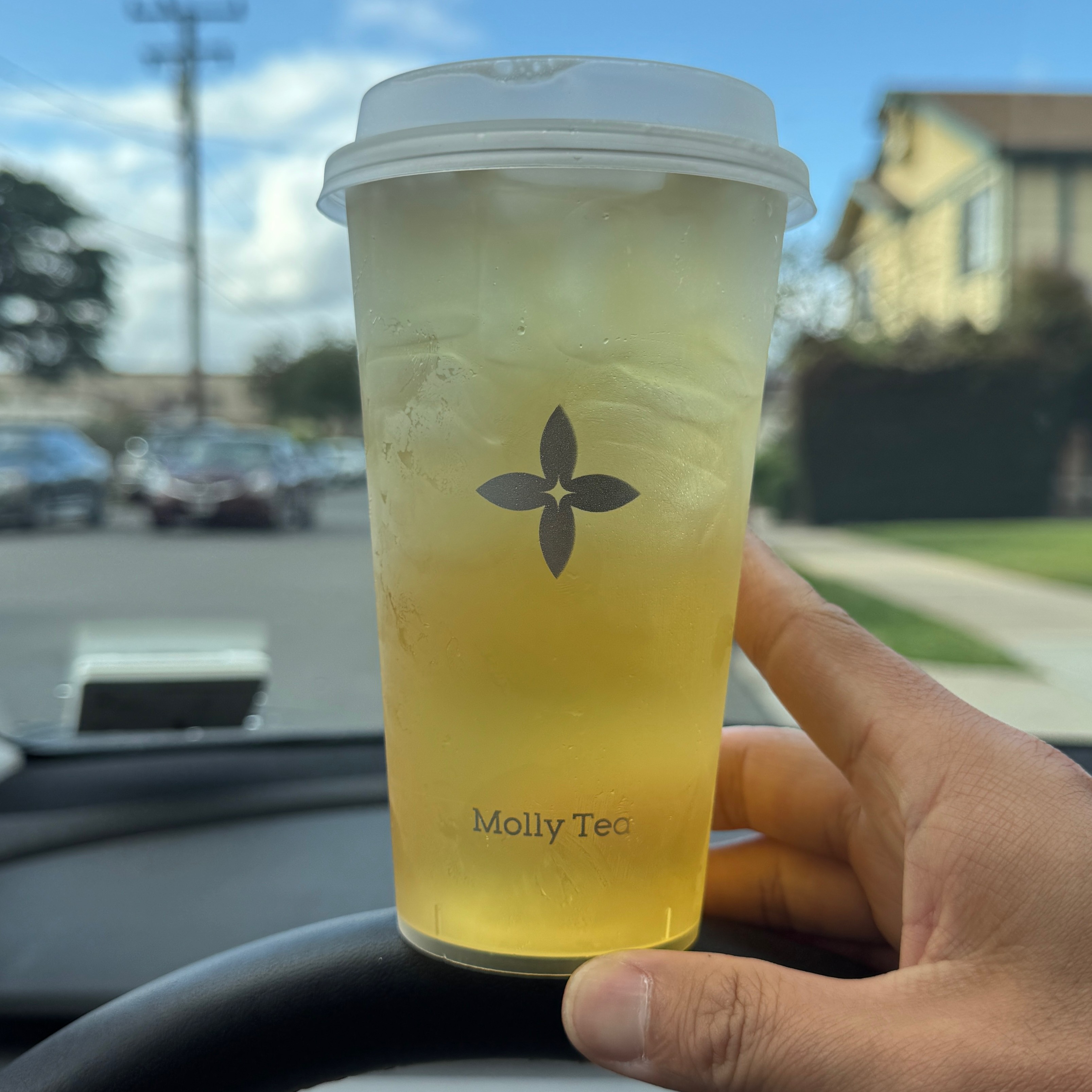 Gardenia Iced Tea $4.59 at Molly Tea (San Gabriel) on #foodmento http://foodmento.com/place/15534
