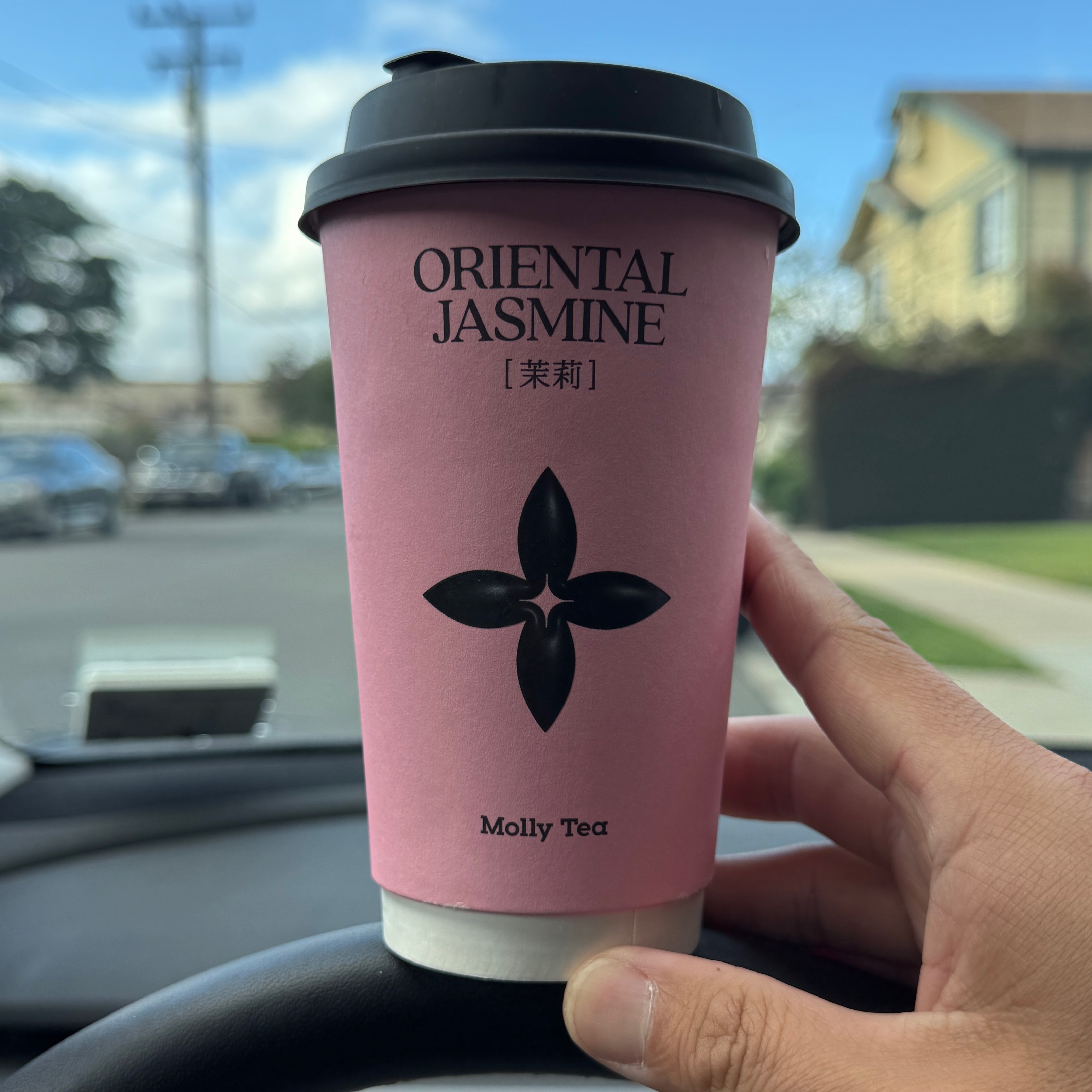 Premium Jasmine Oat Milk Tea $6.79 at Molly Tea (San Gabriel) on #foodmento http://foodmento.com/place/15534