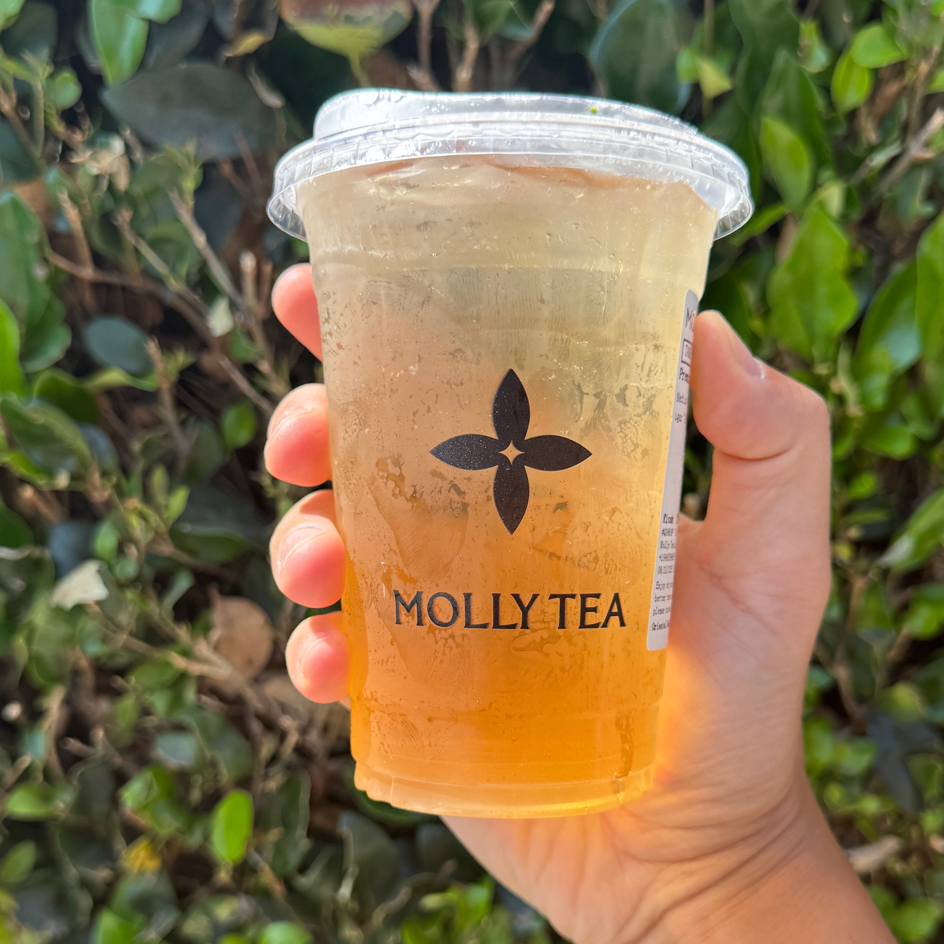 Premium Iced Tea $4.60 at Molly Tea (San Gabriel) on #foodmento http://foodmento.com/place/15534