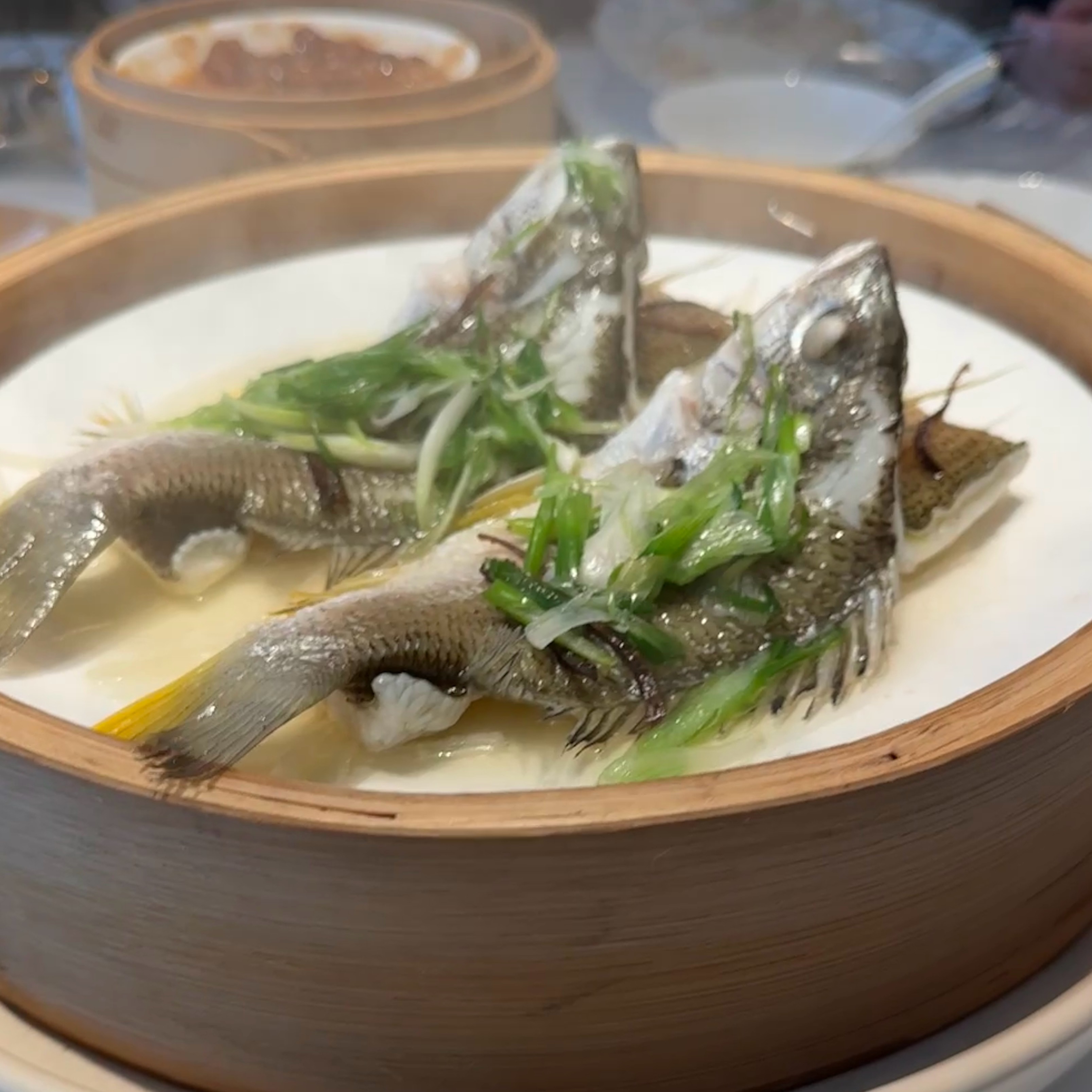 Steamed Yellowfin Seabream Y69 at Bingsheng Residence (Haile Flagship Store)  on #foodmento http://foodmento.com/place/16150