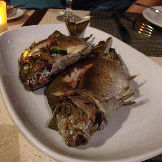 Grilled Fresh Kitong Fish (Special) at The Bellevue Resort on #foodmento http://foodmento.com/place/2084