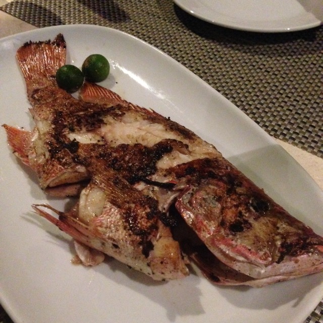 Grilled Fresh Snapper (Special) at The Bellevue Resort on #foodmento http://foodmento.com/place/2084