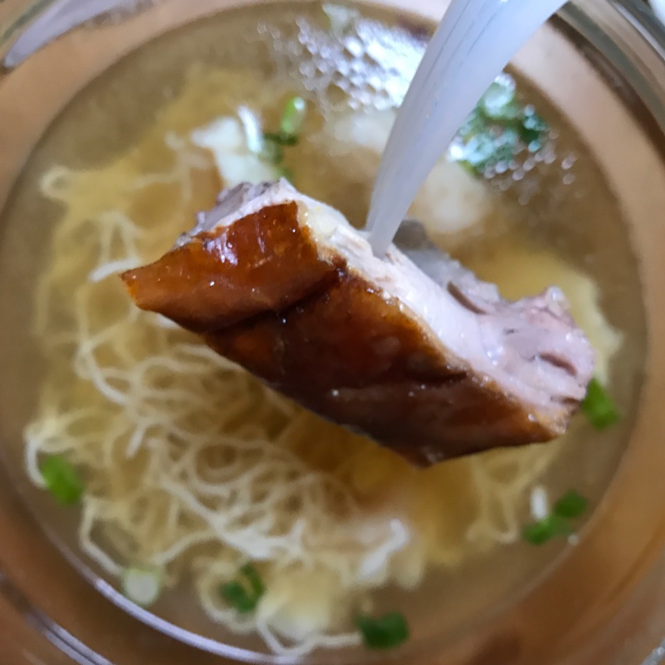 Roast Duck & Wonton Noodle Soup at Great N.Y. Noodletown on #foodmento http://foodmento.com/place/2667