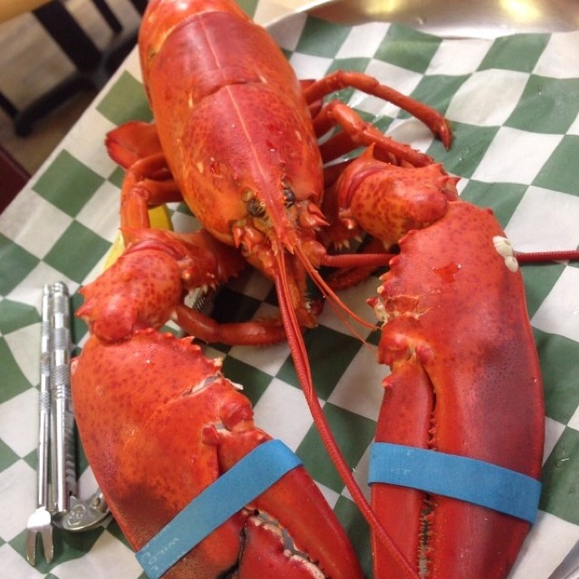 Live Maine Lobsters at James Hook & Company on #foodmento http://foodmento.com/place/353