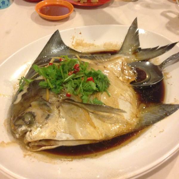 Steamed Pomfret Fish at Manhill Restaurant on #foodmento http://foodmento.com/place/462