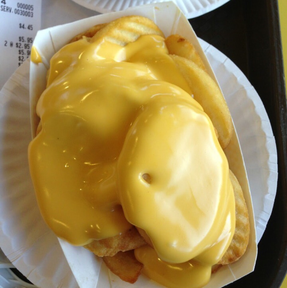 Cheez Fries from Roll N Roaster on #foodmento http://foodmento.com/dish/23462