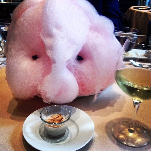 Cotton Candy from The Four Seasons Restaurant on #foodmento http://foodmento.com/dish/12509