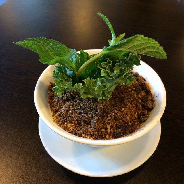 Plant Pot Green Tea Tiramisu  at Cutting Board on #foodmento http://foodmento.com/place/3034