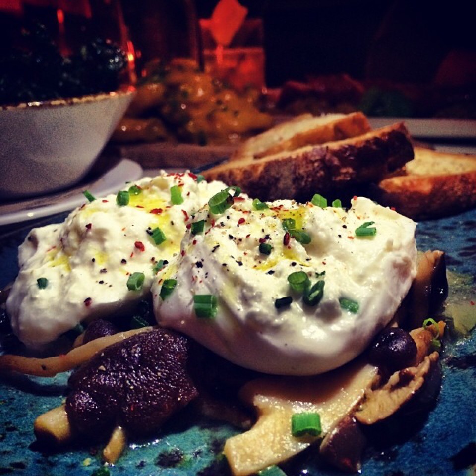 Vermont Burrata, Mushroom Sott'olio, Toast at Cookshop on #foodmento http://foodmento.com/place/2204
